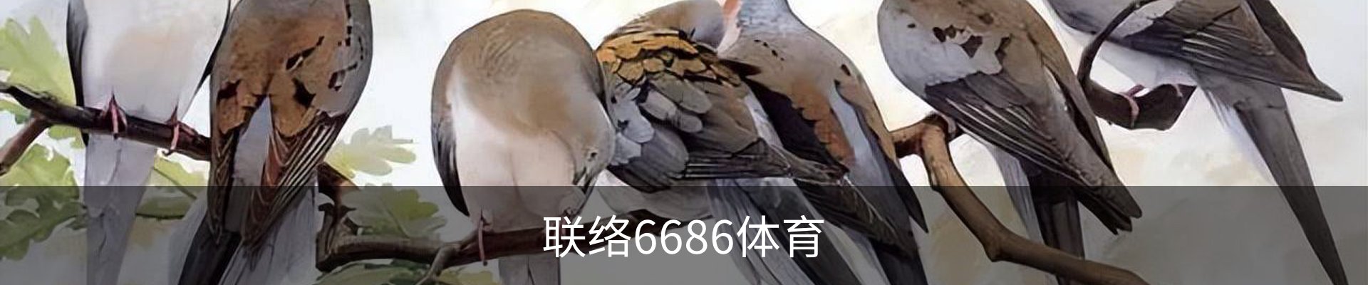 联络6686体育